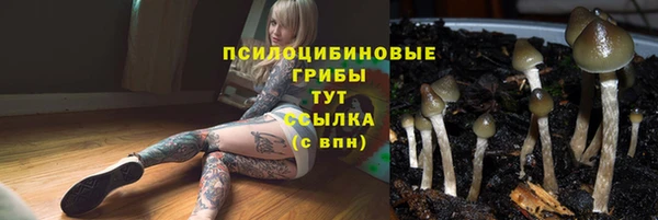 трава Верхний Тагил