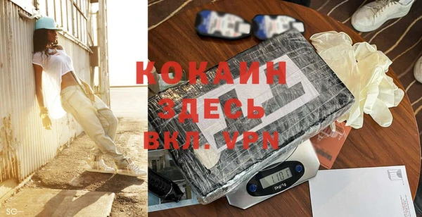 сатива Волоколамск