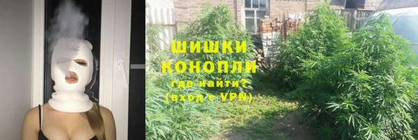 сатива Волоколамск