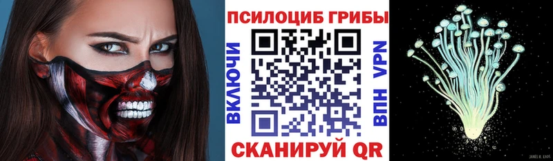 мориарти формула  Заводоуковск  Галлюциногенные грибы GOLDEN TEACHER 